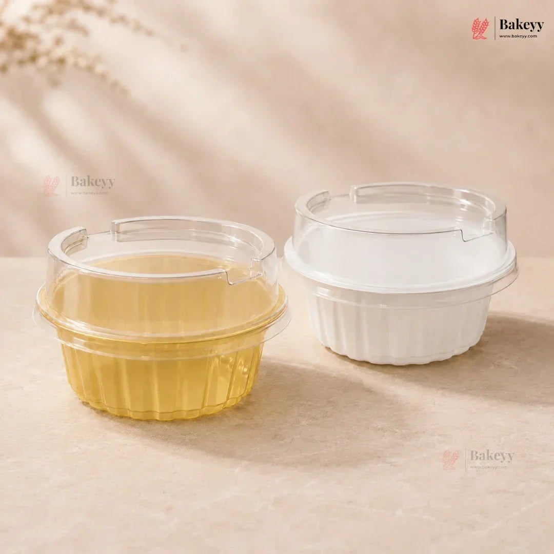 Plastic Container